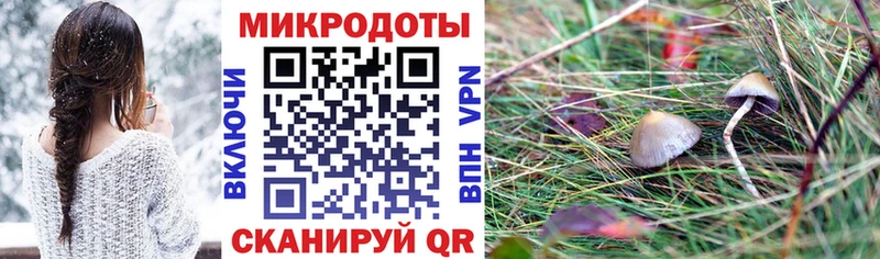 Псилоцибиновые грибы прущие грибы  Краснодар 