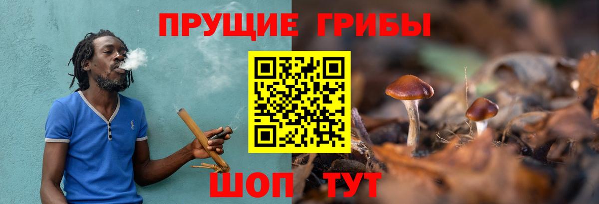 Краснодар  Псилоцибиновые грибы мухоморы  Вход с VPN 